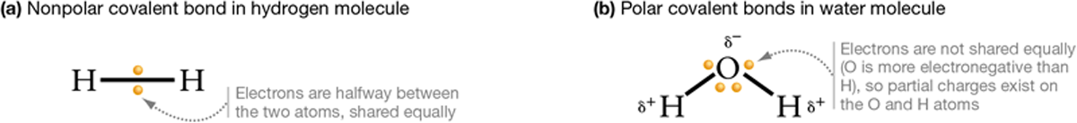 Two diagrams show electron sharing and bond polarity.