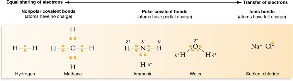 The diagram illustrates the electron sharing continuum.