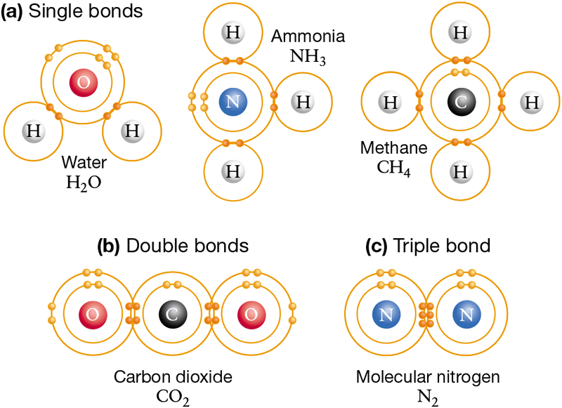 The diagram shows the configuration of electrons in the valence, or outer, shell.