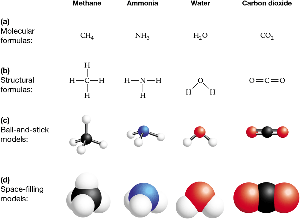 A diagram shows that molecules can be represented in several ways.